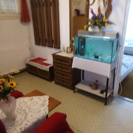 Toth Apartament *