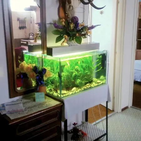 Toth Apartament