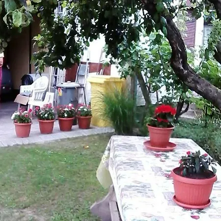 Toth Apartament *