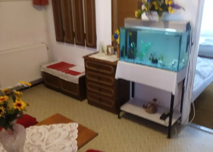 Toth Apartament *