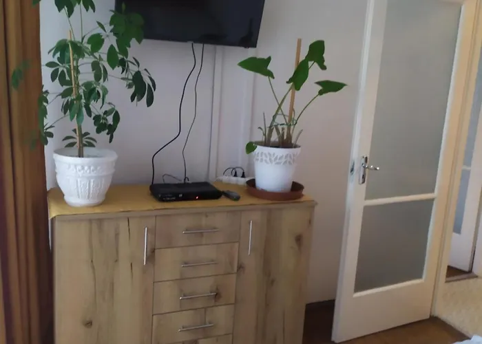 Toth Apartament